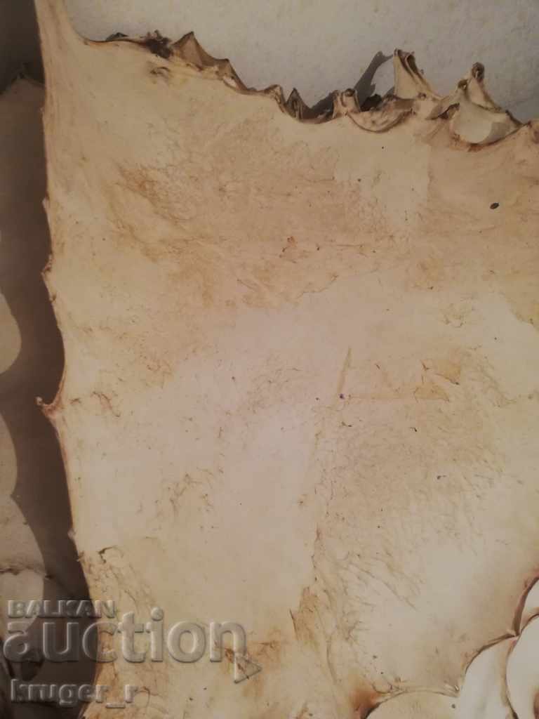 Parchment - 5 Parchment - 5