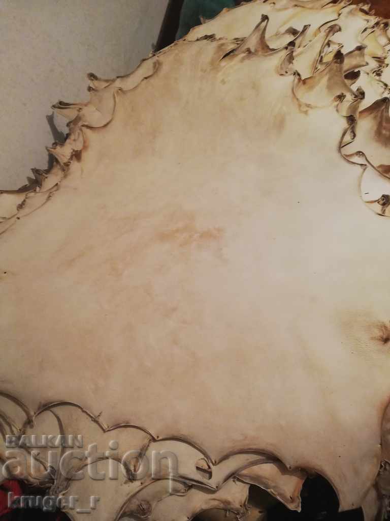 Parchment - 7 Parchment - 7