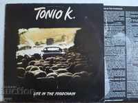 Tonio K. - Viața în lanțul alimentar 1979