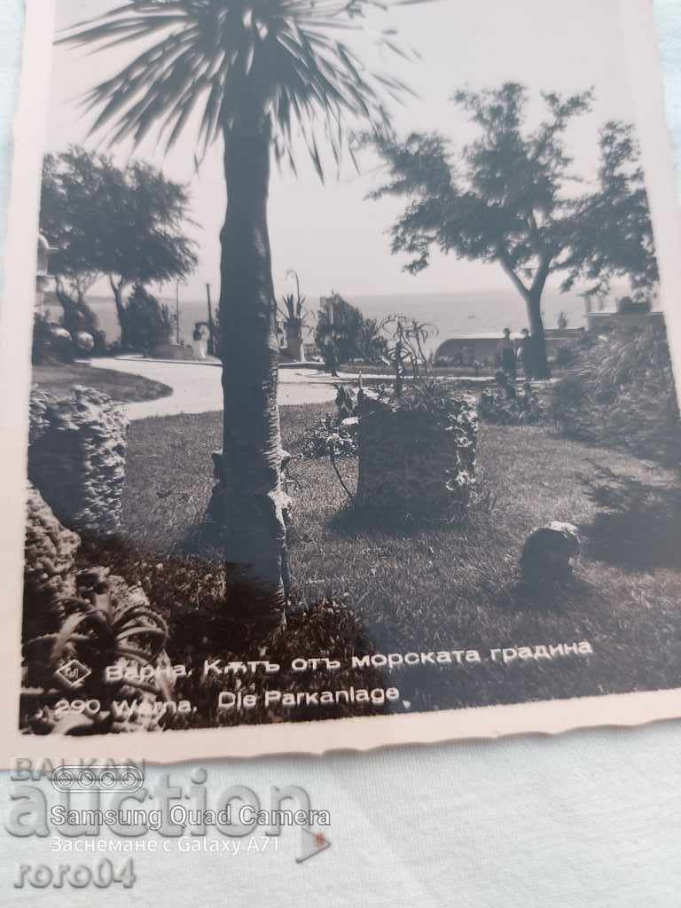 ΒΑΡΝΑ - Ο ΘΑΛΑΣΣΙΟΣ ΚΗΠΟΣ με τιμή 13.49 BGN | € 6.90 ΒΑΡΝΑ - Ο ΘΑΛΑΣΣΙΟΣ ΚΗΠΟΣ με τιμή 13.49 BGN | € 6.90