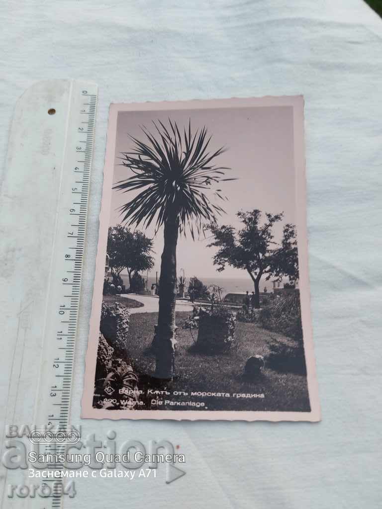 Δημοπρασία ΒΑΡΝΑ - Ο ΘΑΛΑΣΣΙΟΣ ΚΗΠΟΣ Δημοπρασία ΒΑΡΝΑ - Ο ΘΑΛΑΣΣΙΟΣ ΚΗΠΟΣ