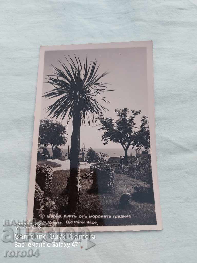 ВАРНА - МОРСКАТА ГРАДИНА