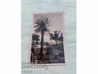 ΒΑΡΝΑ - Ο ΘΑΛΑΣΣΙΟΣ ΚΗΠΟΣ