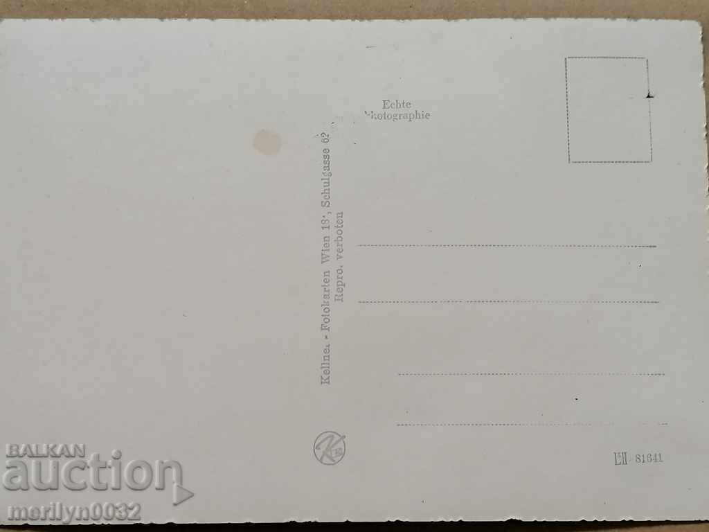 Postcard photo Marin Michel Vienna - 6 Postcard photo Marin Michel Vienna - 6