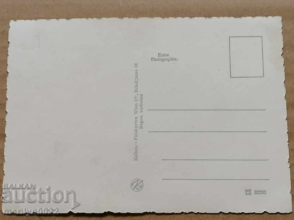 Postcard photo Moriam Bru Vienna - 6 Postcard photo Moriam Bru Vienna - 6