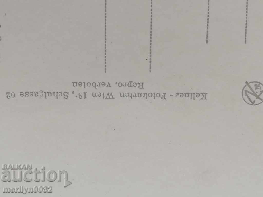 Postcard photo Moriam Bru Vienna - 7 Postcard photo Moriam Bru Vienna - 7