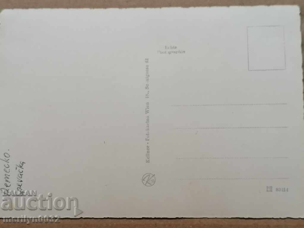 Postcard photo Catherine Valente Vienna - 5 Postcard photo Catherine Valente Vienna - 5