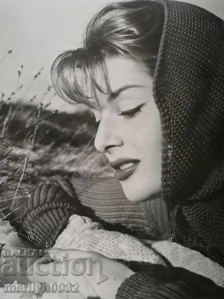 Postcard photo Belinda Lee Vienna with price 25.00 BGN | € 12.78 Postcard photo Belinda Lee Vienna with price 25.00 BGN | € 12.78