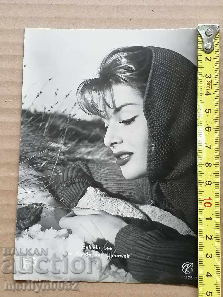 Auction Postcard photo Belinda Lee Vienna Auction Postcard photo Belinda Lee Vienna