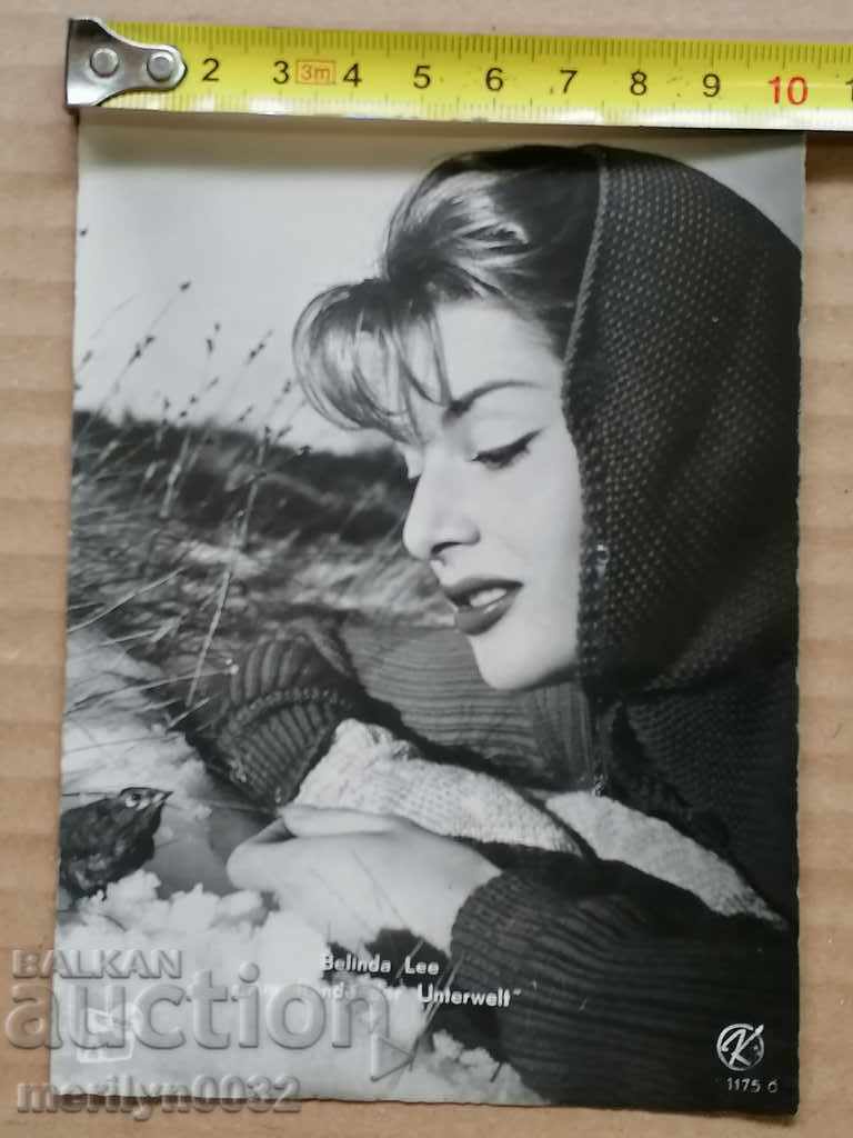 Delivery of Postcard photo Belinda Lee Vienna Delivery of Postcard photo Belinda Lee Vienna