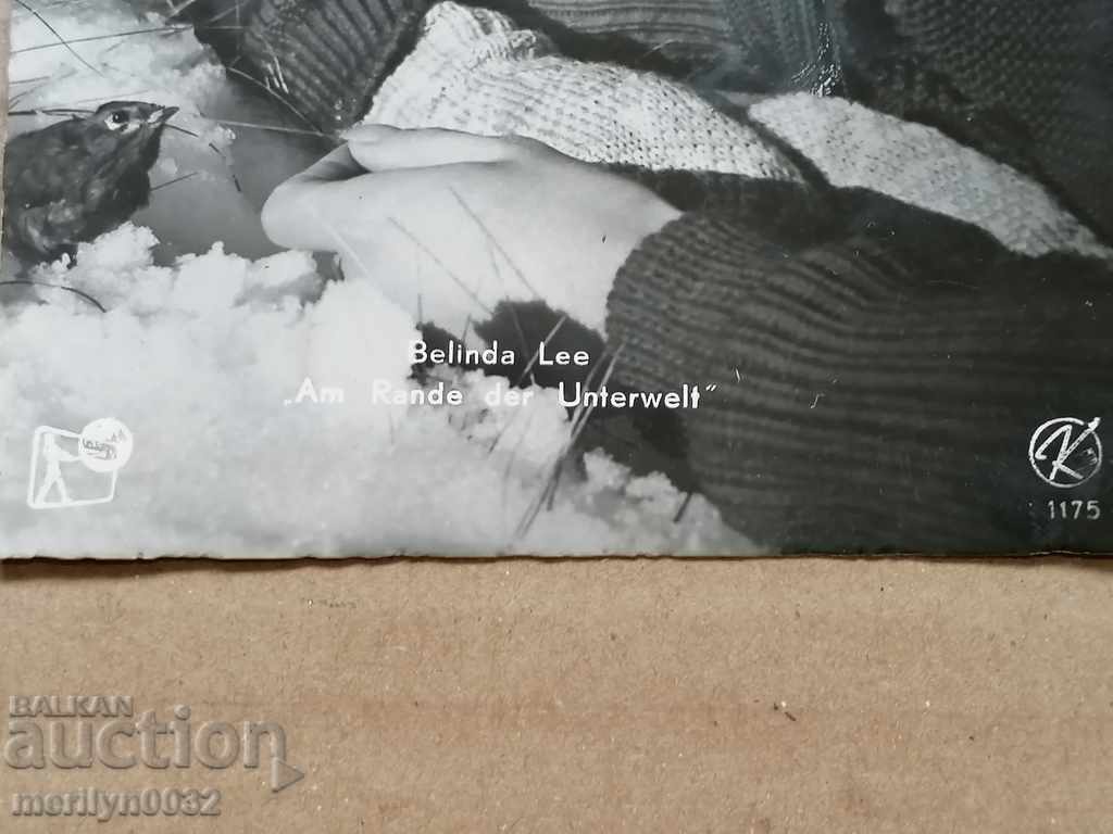 Postcard photo Belinda Lee Vienna - 5 Postcard photo Belinda Lee Vienna - 5