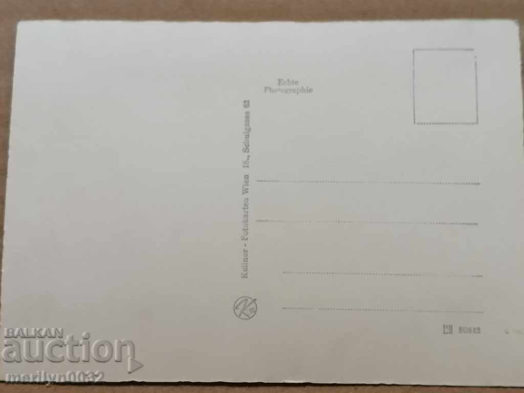 Postcard photo Belinda Lee Vienna - 6 Postcard photo Belinda Lee Vienna - 6