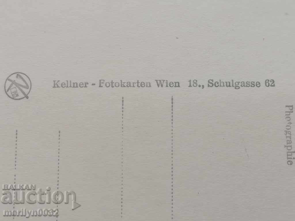 Postcard photo Belinda Lee Vienna - 7 Postcard photo Belinda Lee Vienna - 7