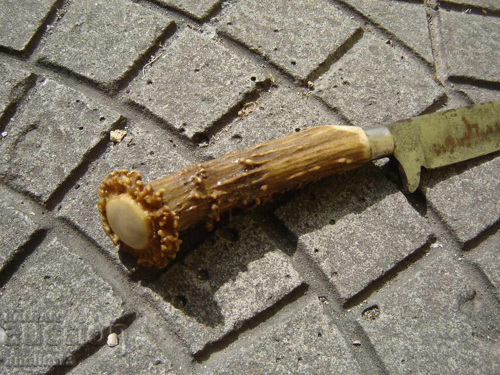 OLD KNIFE HORN HANDLE - 5 OLD KNIFE HORN HANDLE - 5