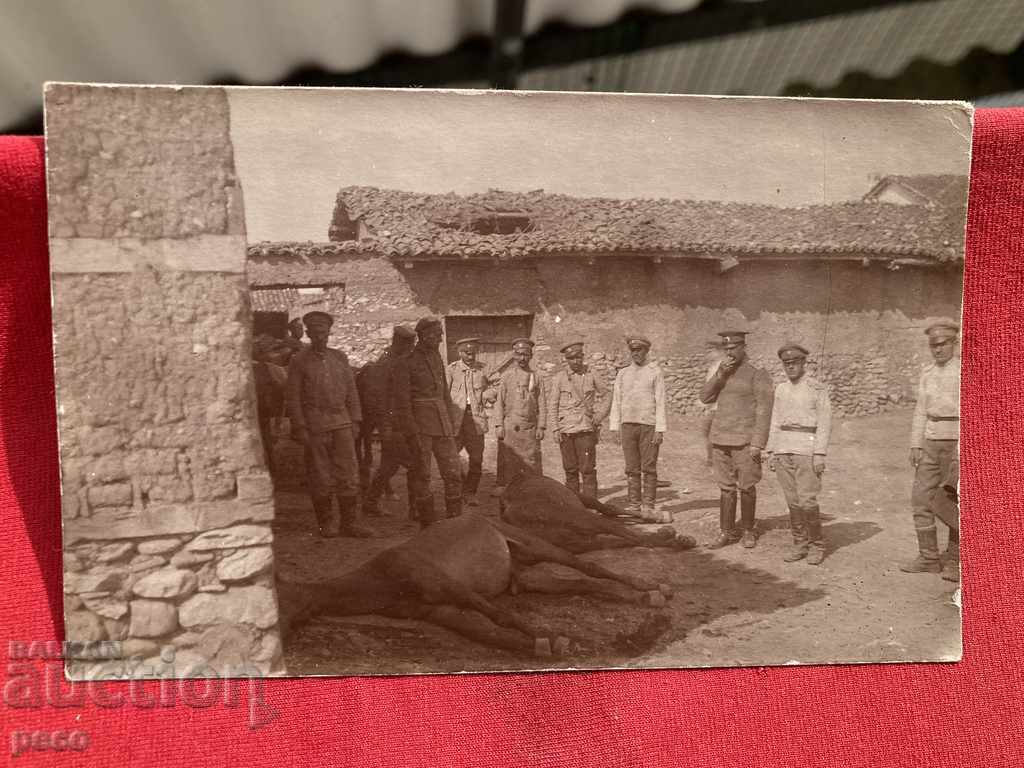 Livrarea Avioane Bombe au ucis cai Primul război mondial Livrarea Avioane Bombe au ucis cai Primul război mondial