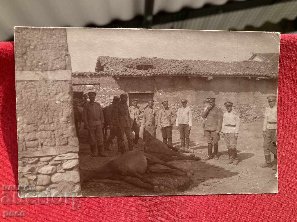 Avioane Bombe au ucis cai Primul război mondial - 5 Avioane Bombe au ucis cai Primul război mondial - 5