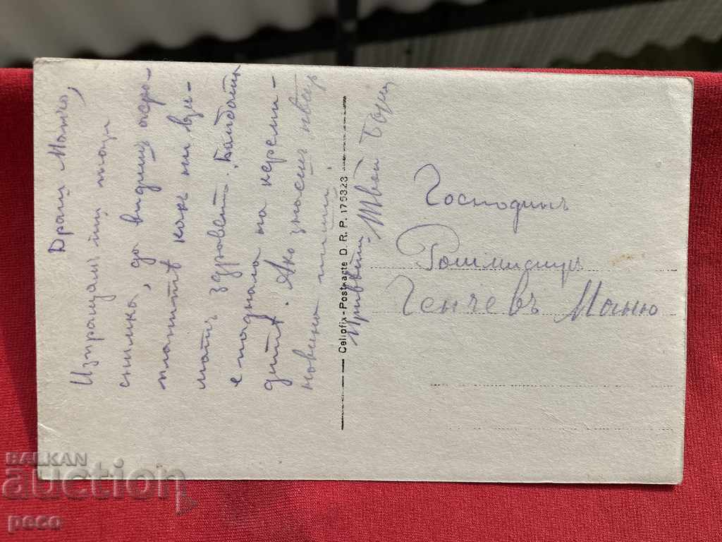 Avioane Bombe au ucis cai Primul război mondial - 6 Avioane Bombe au ucis cai Primul război mondial - 6