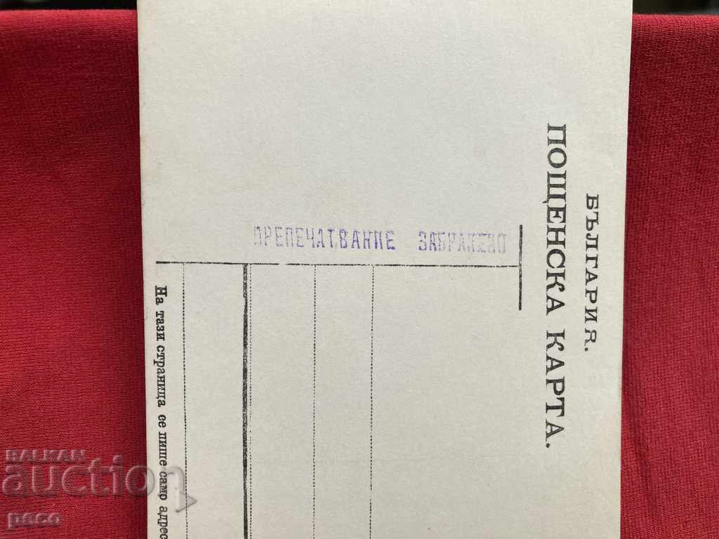 Pussy soldiers Reprinting prohibited - 7 Pussy soldiers Reprinting prohibited - 7