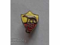 FC Roma ASR Ecusoane Email Collector