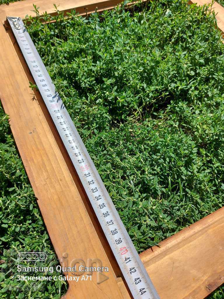FRAME - OLD - 7