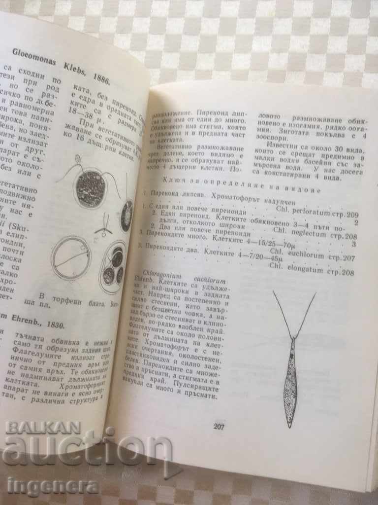 Δημοπρασία BOOK-FLORA OF BULGARIA ALGAE-1971