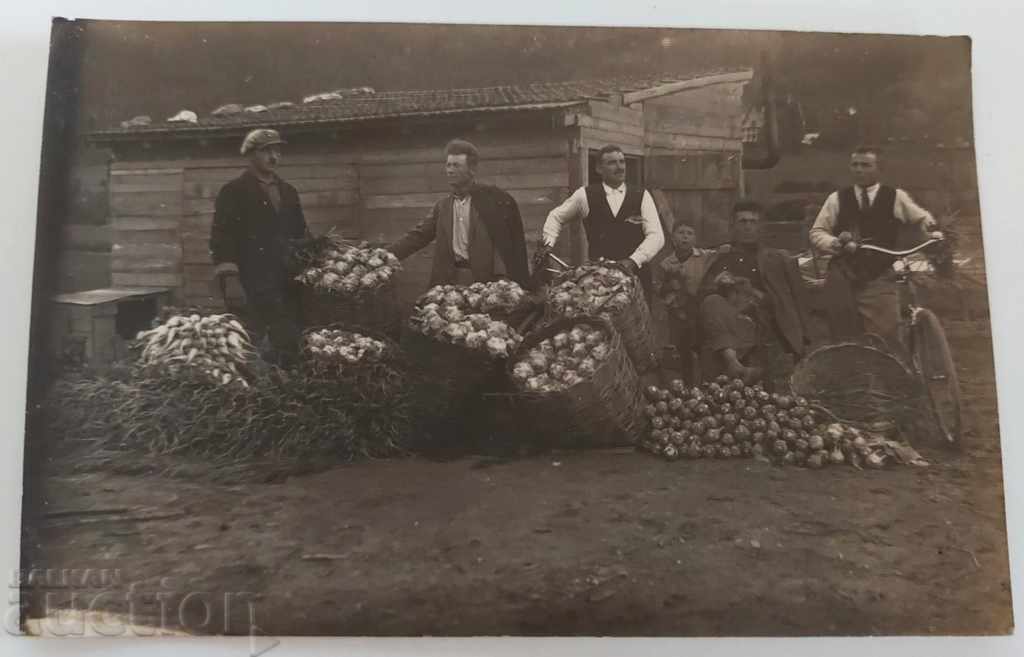 БЪЛГАРСКИ ГРАДИНАРИ В ЧУЖБИНА СНИМКА ФОТОГРАФИЯ ЦАРСТВО