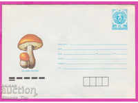 267171 / pure Bulgaria IPTZ 1988 Orange birch Mushroom