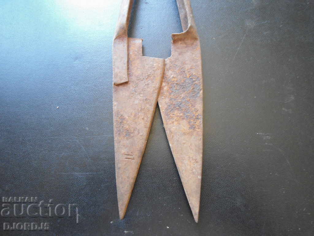 Delivery of Old wrought shears for shearing sheep Delivery of Old wrought shears for shearing sheep