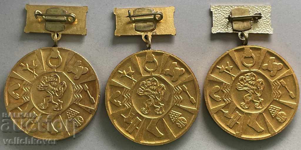 30379 Bulgaria 3 medals 1-2-3 degree Special merits BSFS with price 30.00 BGN | € 15.34