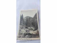 Carte poștală Letovishte Gheorghi Dimitrov peisaj în jurul muntelui