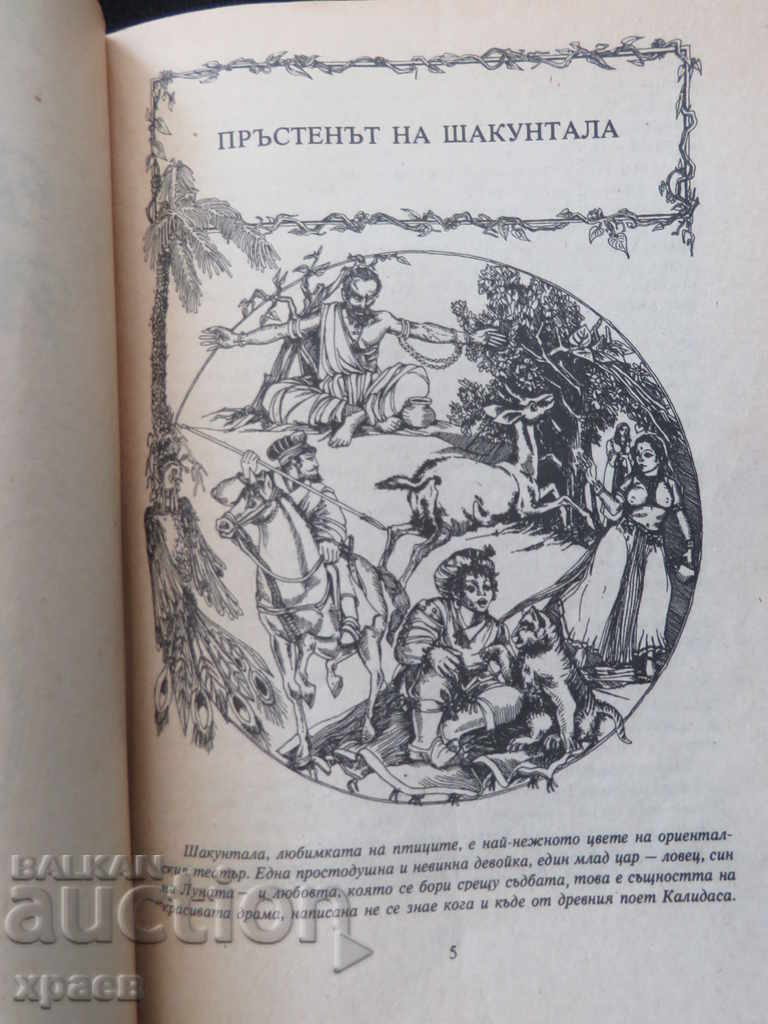 Licitație CULOAREA LEGGENDELOR