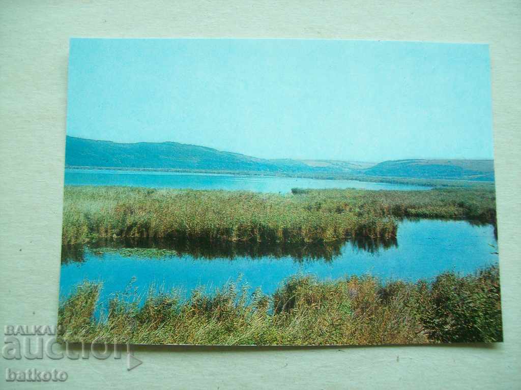Postcard Lake Srebarna