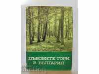 The Oak Forests in Bulgaria - Iliya Radkov, Yordan Minkov 1963