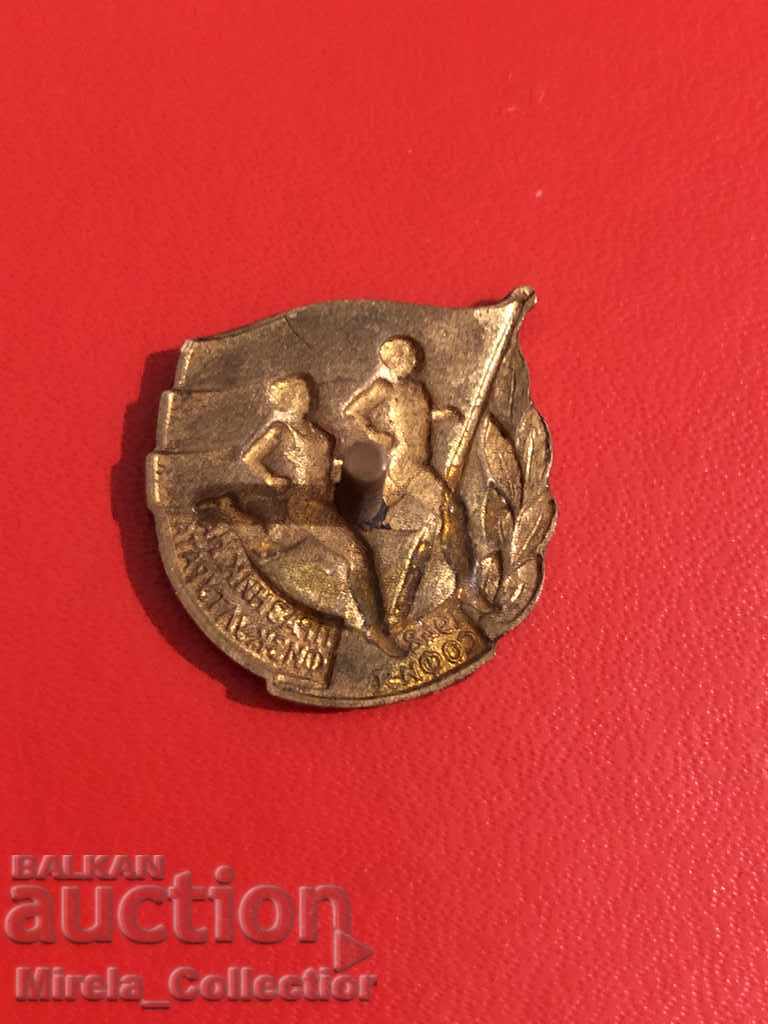 Auction  Soc. sports badge celebration of physical education 1948 enamel