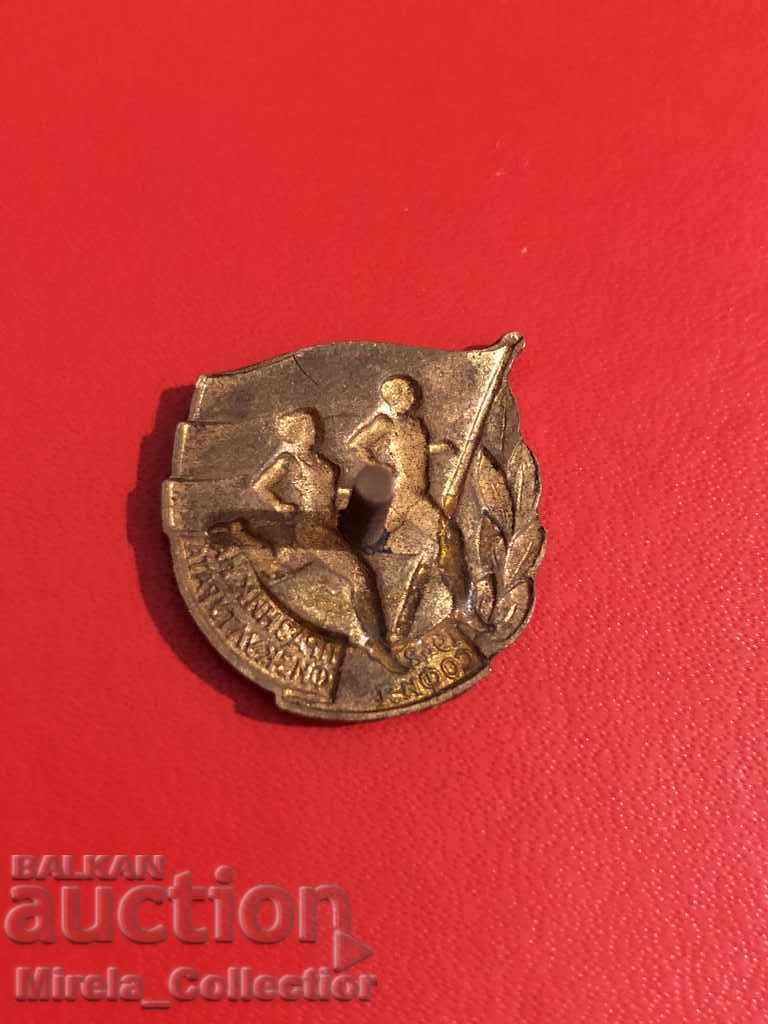 Soc. sports badge celebration of physical education 1948 enamel - 6