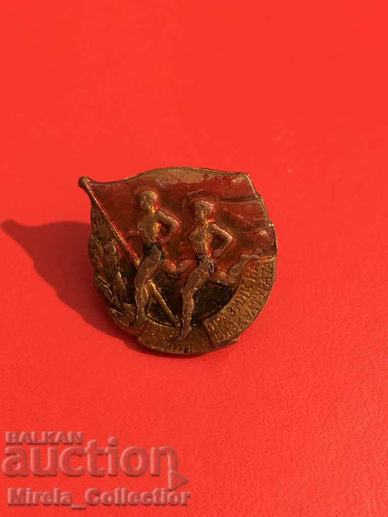 Soc. sports badge celebration of physical education 1948 enamel - 7