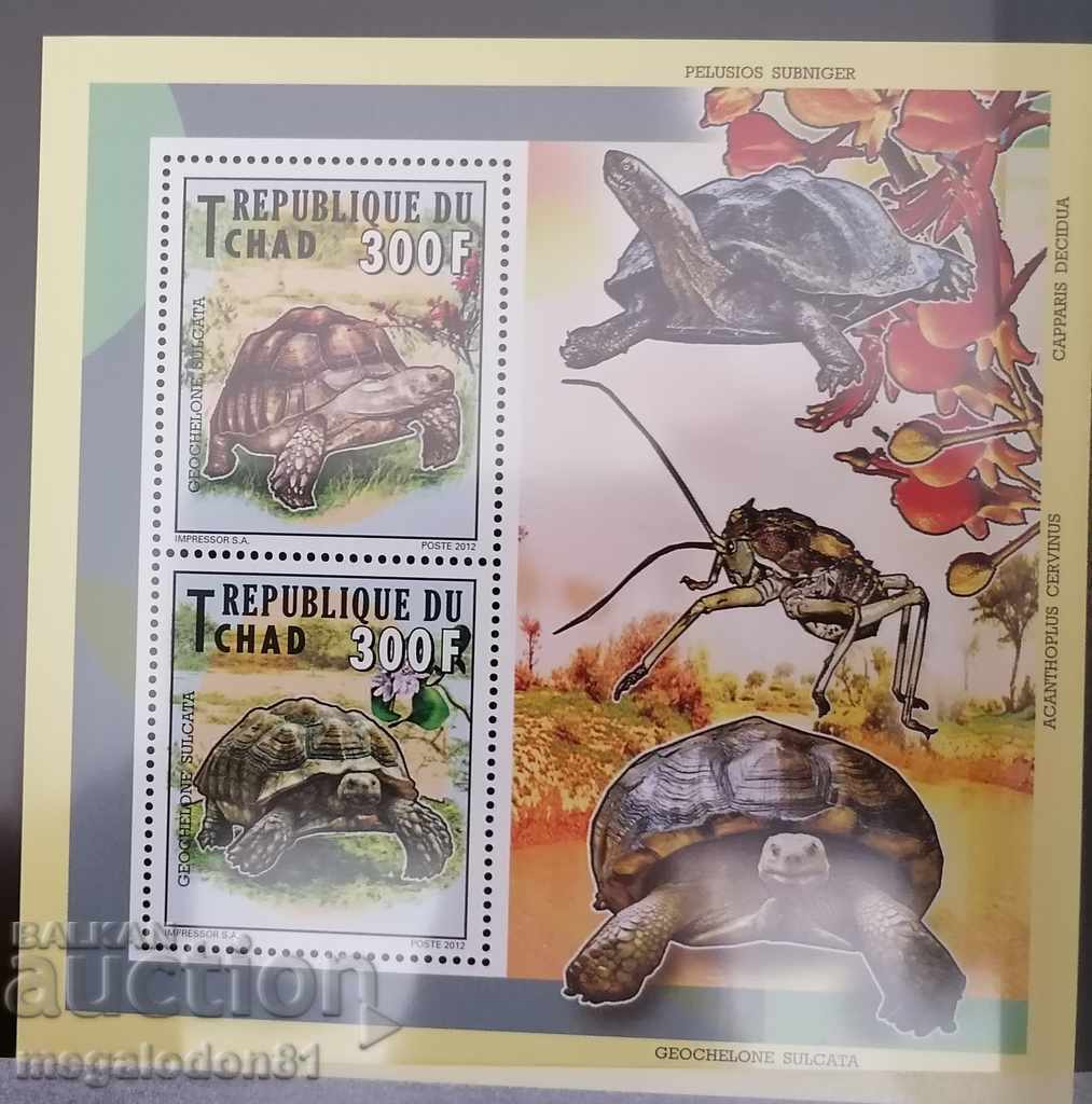 Chad - African fauna, turtles, flora, grasshoppers