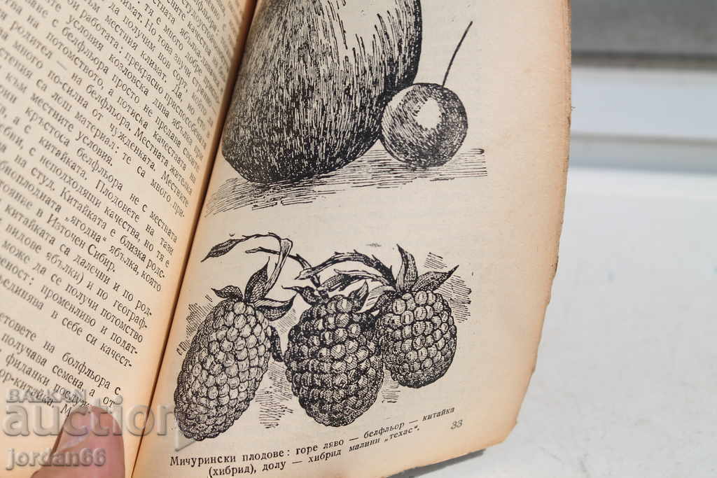 Auction Darwin's Theory of Evolution book Auction Darwin's Theory of Evolution book