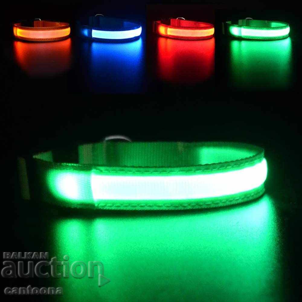 MASBRILL luminous LED collar for dogs with battery, waterproof