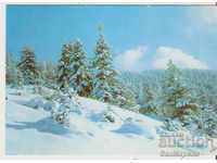 Card Bulgaria Rila Peisaj de iarnă 2 *
