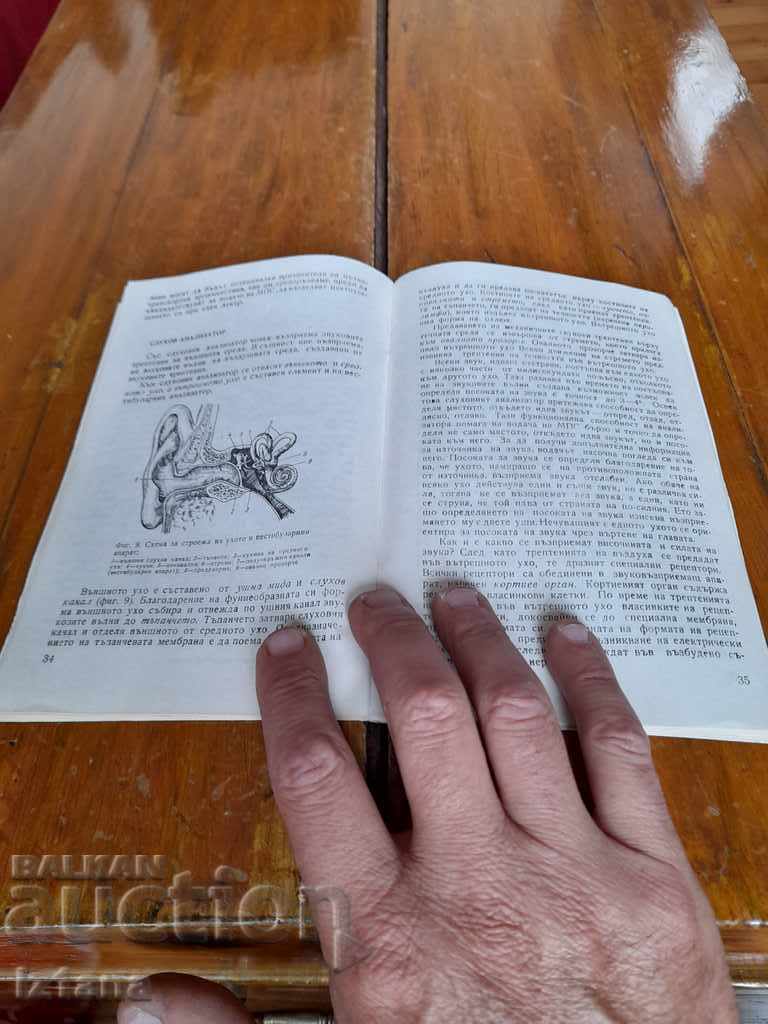 Delivery of Book ZSVA and DS of the driver of the vehicle Delivery of Book ZSVA and DS of the driver of the vehicle