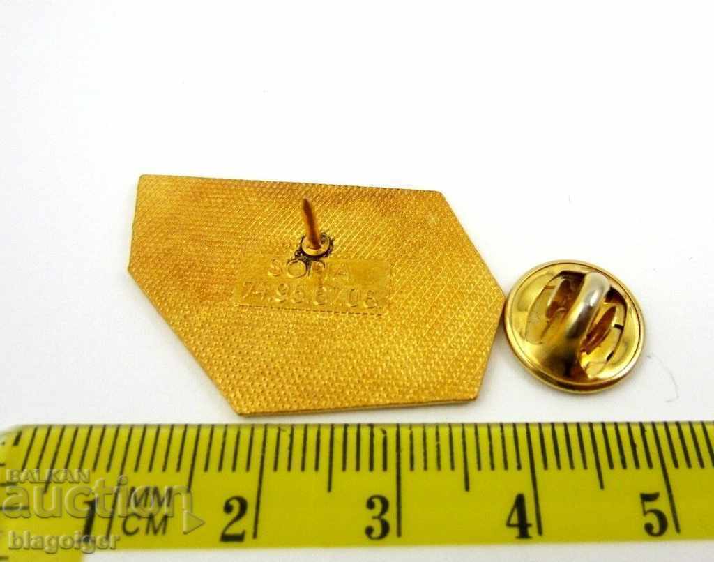 Auction  PARACHUTISM-TANDE JUMP-RARE SIGN