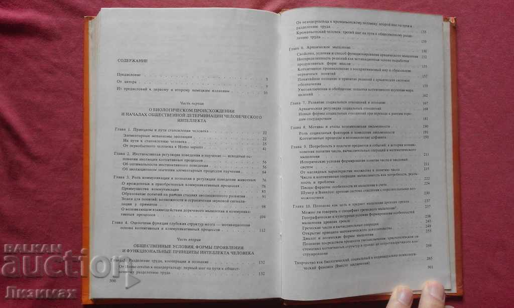 Auction Awakening thinking. At the origins of human intelligence Auction Awakening thinking. At the origins of human intelligence