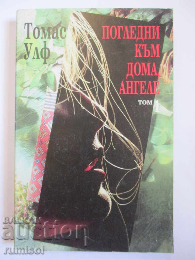 Privește spre casă, îngerule 1 - Thomas Wolfe Privește spre casă, îngerule 1 - Thomas Wolfe