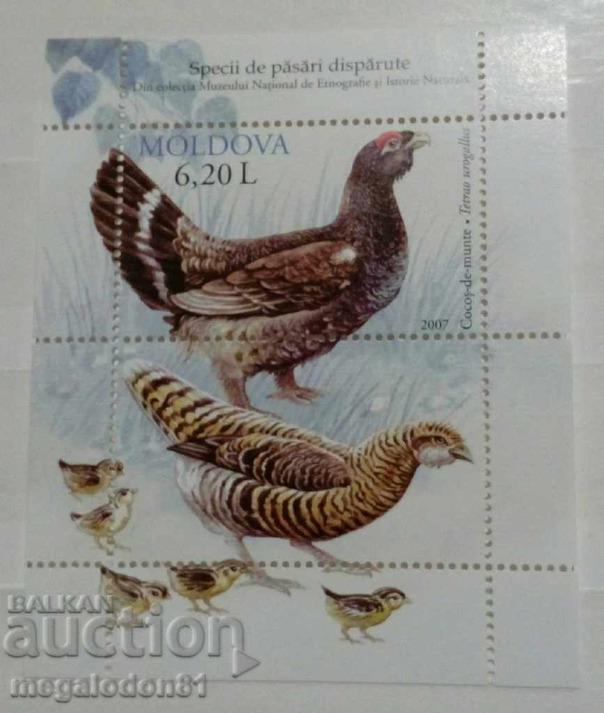 Μολδαβία - πουλιά