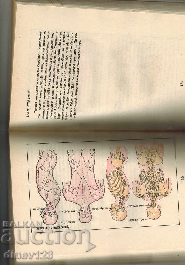 Auction ACOURIC MASSAGE AND CHINESE GYMNASTICS - V. HRISTOV Auction ACOURIC MASSAGE AND CHINESE GYMNASTICS - V. HRISTOV