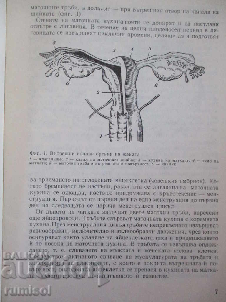 Contraceptives - S. Davidov with price 0.99 BGN | € 0.51 Contraceptives - S. Davidov with price 0.99 BGN | € 0.51