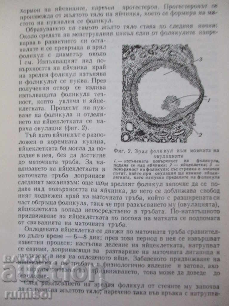 Auction Contraceptives - S. Davidov Auction Contraceptives - S. Davidov