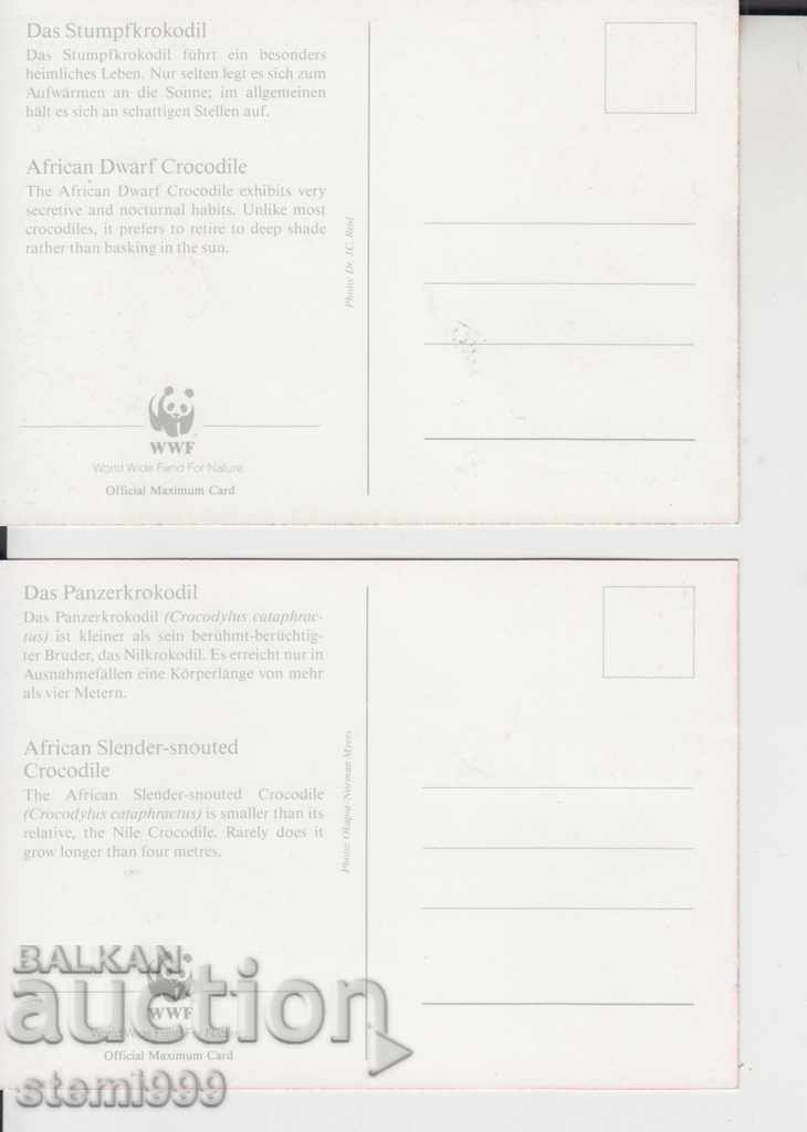 Auction Postcard maximum FDC Reptiles Lot of 4 cards Auction Postcard maximum FDC Reptiles Lot of 4 cards