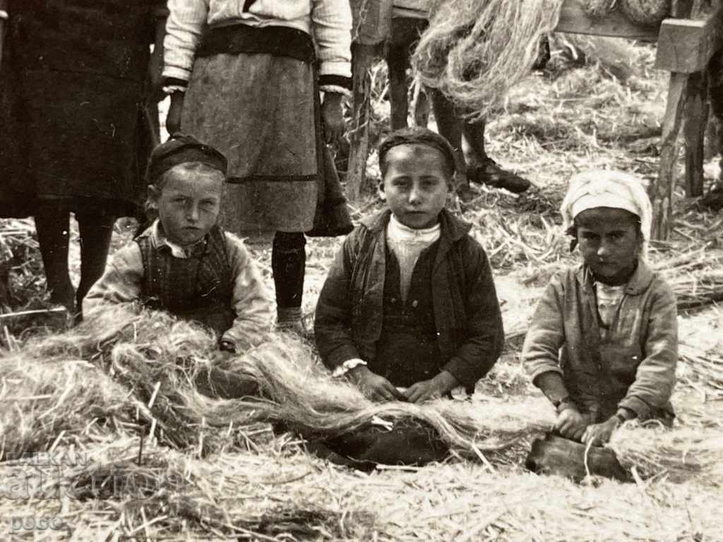 Επεξεργασία κάνναβης χωριό Καράμτσα / Καράντσι / παλιά φωτογραφία με τιμή 40.00 BGN | € 20.45